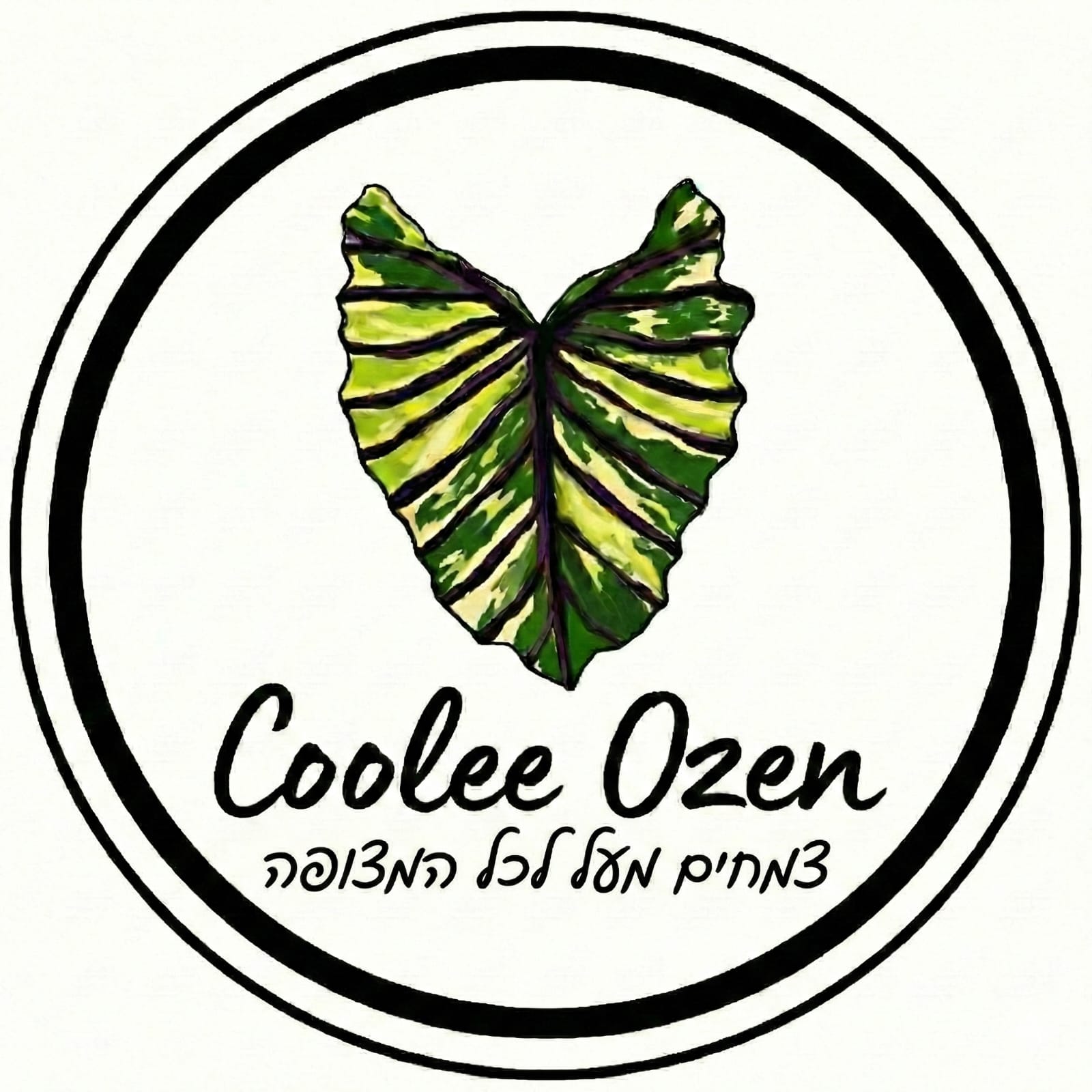 Coolee Ozen
